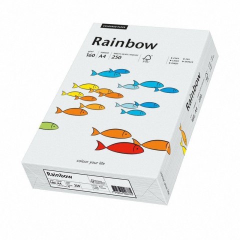 Papier ksero A4 160 250 ark jasny szary R93 RAINBOW 88042791