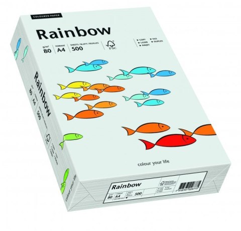 Papier ksero A4 80g 500 ark jasnoszary R93 RAINBOW 88042783