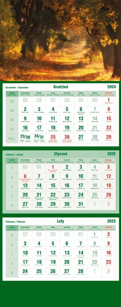 Kalendarz trójdzielny 2025 Las Michalczyk i Prokop T-105T-03
