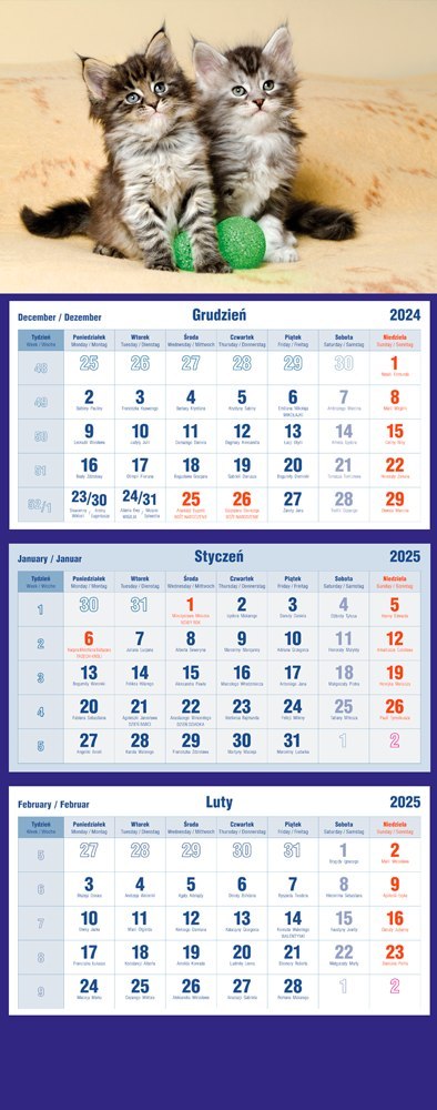 Kalendarz trójdzielny 2025 Koty Michalczyk i Prokop T-105T-10