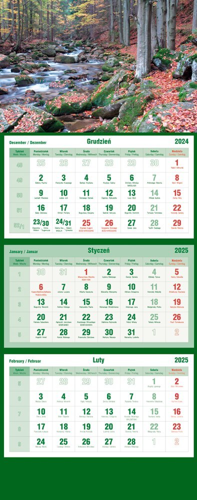 Kalendarz trójdzielny 2025 Strumień Michalczyk i Prokop T-105T-08
