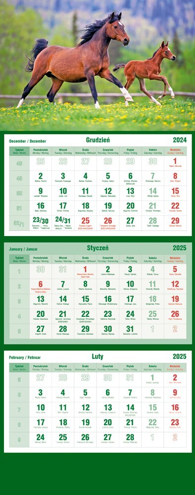 Kalendarz trójdzielny 2025 Konie Michalczyk i Prokop T-105T-11