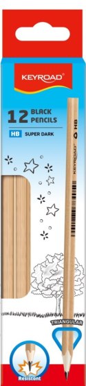 Ołówek KEYROAD, trójkątny, drewno topoli, 2,2 mm, 12 szt.