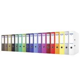 Segregator DONAU Master, PP, A4/75mm, złoty