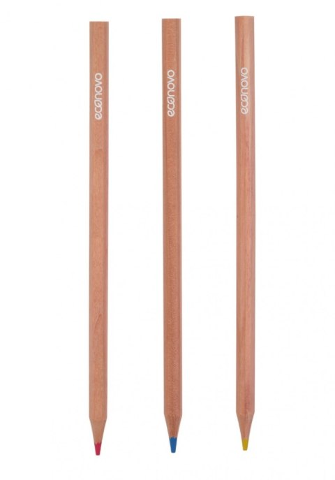 Kredki ołówkowe ECONOVO, FSC, 3mm, 12 szt., mix kolorów