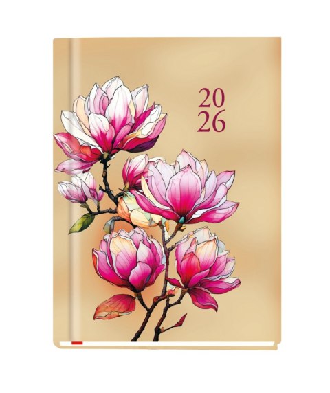 Terminarz OLA A6 2026 Michalczyk i Prokop T-212F-01 KALENDARZ tydzień na 2 stronach