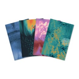 Kalendarz Oxford harmony 2026 10x15cm WTV mix 400204135