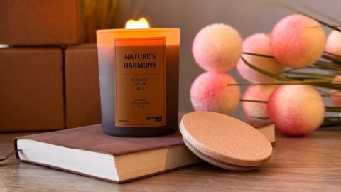 Świeca sojowa DONAU HOME, w szarym szkle, drewniana pokrywa i knot, Nature's Harmony, 200g