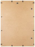 Antyrama DONAU, pleksi, B1, 700x1000mm