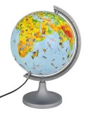 Globus zoologiczny z opisem GŁOWALA, podświetlany, śr. 250mm, w pudełku, z aplikacją AR