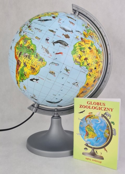 Globus zoologiczny z opisem GŁOWALA, podświetlany, śr. 250mm, w pudełku, z aplikacją AR