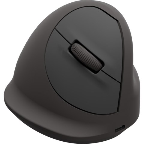 Mysz ergonomiczna pionowa Breyta Plus, średnia, prawa, 100143581 FELLOWES