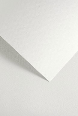 Karton ozdobny SAWANNA biały (20) 200g/m2 204801 ARGO