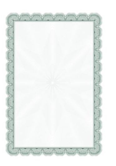 Dyplom ARNIKA 170g/m2 (25 szt) 210417 Argo