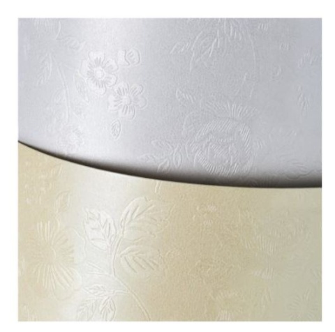 Karton ozdobny Floral diamentowa biel 20 szt./op. 220g/m2 203301 Argo