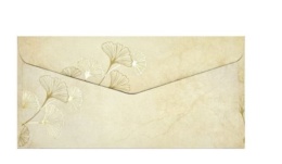 Koperta DL (110 x 220) GINKGO, 120g/m2, op/10szt. 281101 Argo