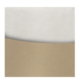 Papier ozdobny Nature jasnobeżowy 50 szt./op. 120g/m2 206716 Argo