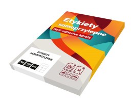 Etykiety A4 210mm x 297mm (100) białe Basic 027 EMERSON eta4i210x297wbas