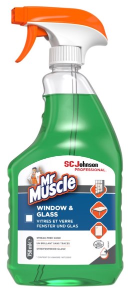 Płyn do mycia okien i szyb MR MUSCLE Window & Glass, spray, 750ml