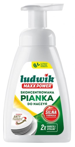 Pianka do naczyń Maxx Power LUDWIK, 300ml