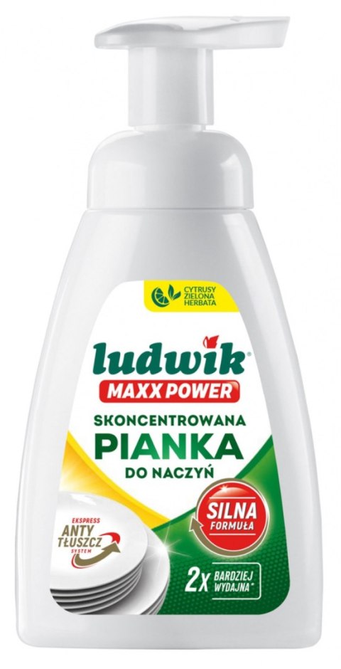 Pianka do naczyń Maxx Power LUDWIK, 300ml