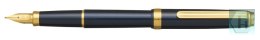 Pióro wieczne Platinum BISO Nebula Black F, w pudełku, czarne