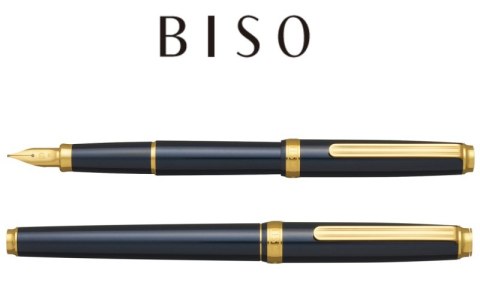 Pióro wieczne Platinum BISO Nebula Black F, w pudełku, czarne