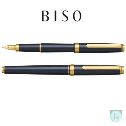 Pióro wieczne Platinum BISO Nebula Black F, w pudełku, czarne