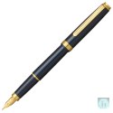 Pióro wieczne Platinum BISO Nebula Black F, w pudełku, czarne