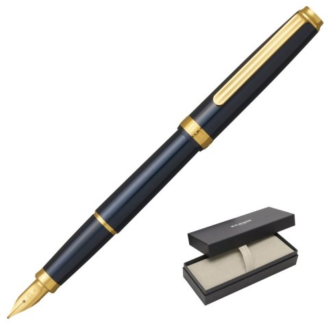 Pióro wieczne Platinum BISO Nebula Black F, w pudełku, czarne