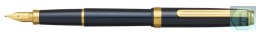 Pióro wieczne Platinum BISO Nebula Black M, w pudełku, czarne
