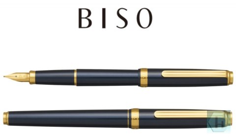Pióro wieczne Platinum BISO Nebula Black M, w pudełku, czarne