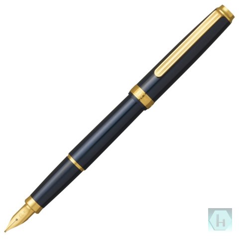 Pióro wieczne Platinum BISO Nebula Black M, w pudełku, czarne
