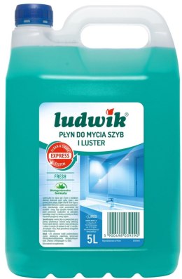 Płyn do mycia szyb i luster LUDWIK, 5l